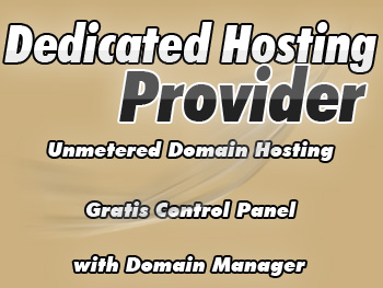 Cut-price dedicated server hosting plan